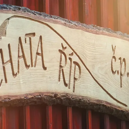 Rip Ii
