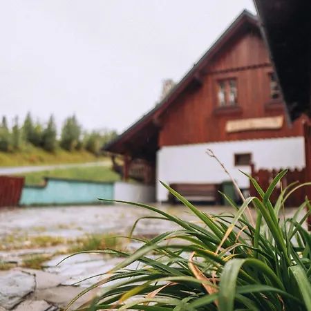 Rip Ii シャレー *